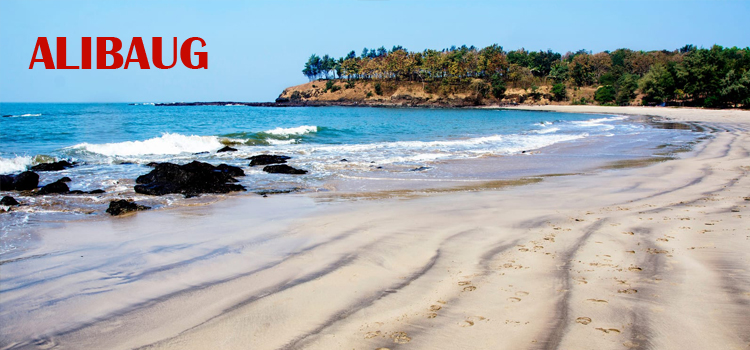 Packers And Movers Alibaug
